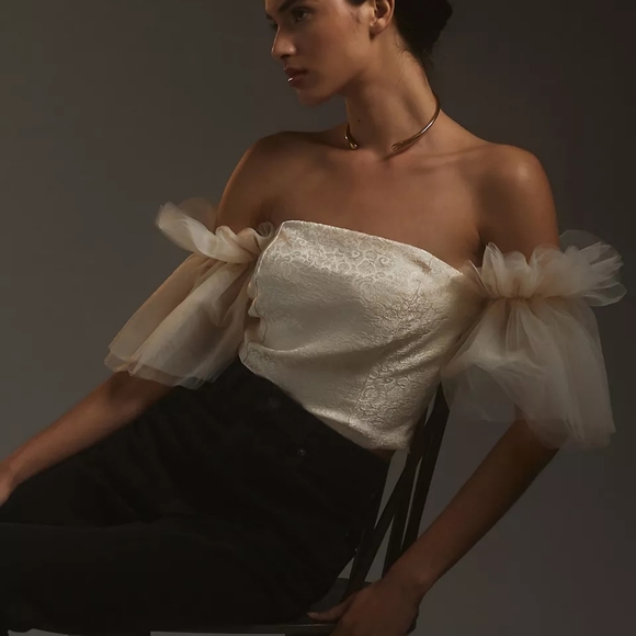 Anthropologie BNWT Sundaybin Brooklyn  Tulle Off-The-Shoulder Top - Picture 4 of 4